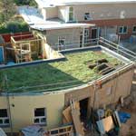 Green Roof