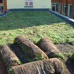 Green Roof