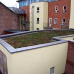 Green Roof