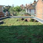 Green Roof