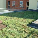 Green Roof