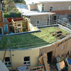 Green Roofs